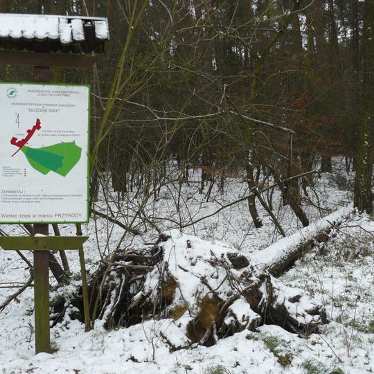 Rezerwat przyrody Goździk Siny w Grzybnie