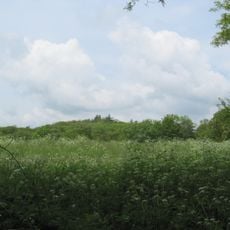 Hradiště u svatého Jiří