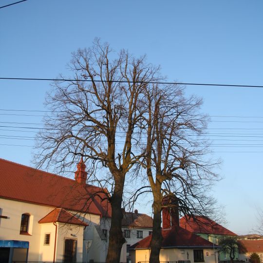 Lípy u kostela