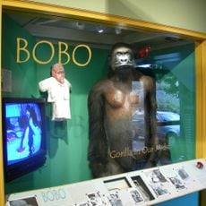 Bobo