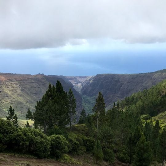 Observation point Grand Canyon