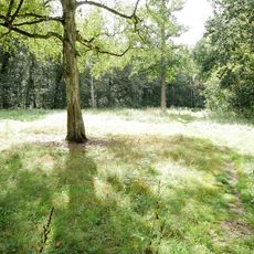 Eilenriede - Natur- und Liegewiese an der Königseiche