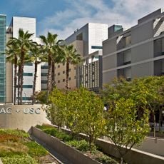 Los Angeles County+USC Medical Center