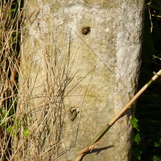 Milestone, The Perse School, Hills Road, Queen Edith's