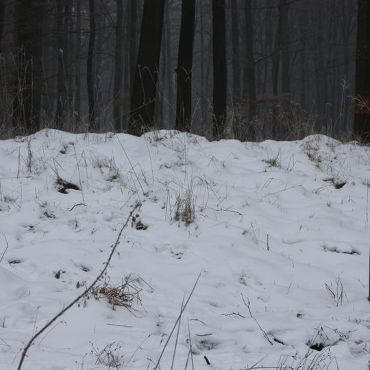 Terrein waarin grafheuvel #45168