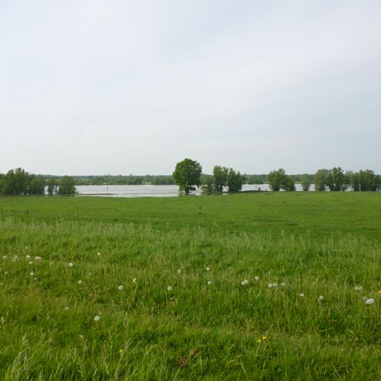 Rheinaue zwischen Büderich und Perrich