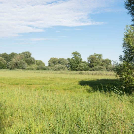 Im Osterried südöstlich von Auchsesheim