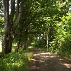 Maciejowiec Palace Park