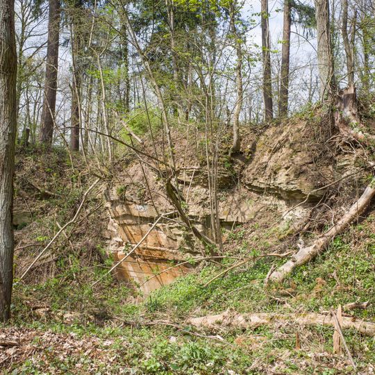 Schilfsandsteinbruch nordöstlich von Burg Königsberg