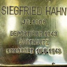 Siegfried Hahn