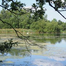 Wollschank und Zschark