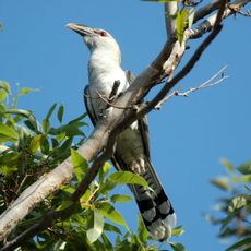 Parc national White Mountains