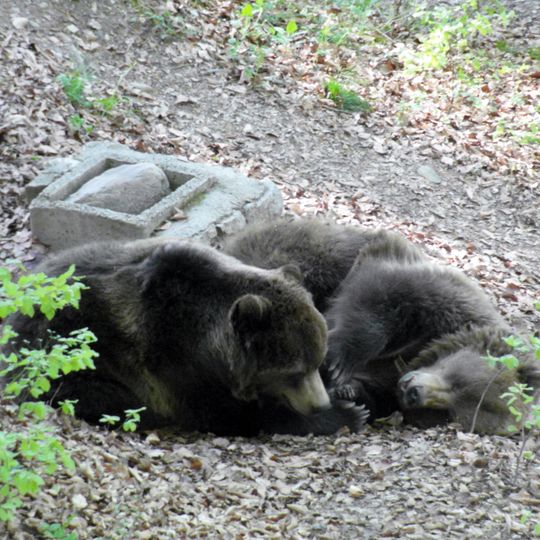 Parco Faunistico di Spormaggiore
