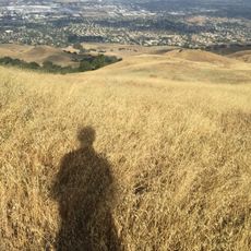 Mission Peak Regional Preserve
