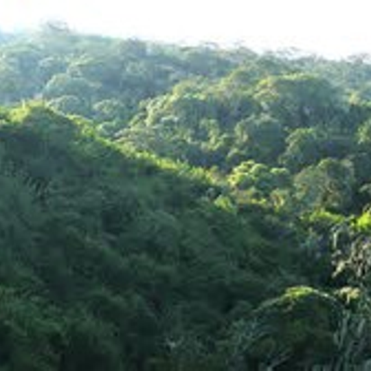 Nationalpark Tschadbecken