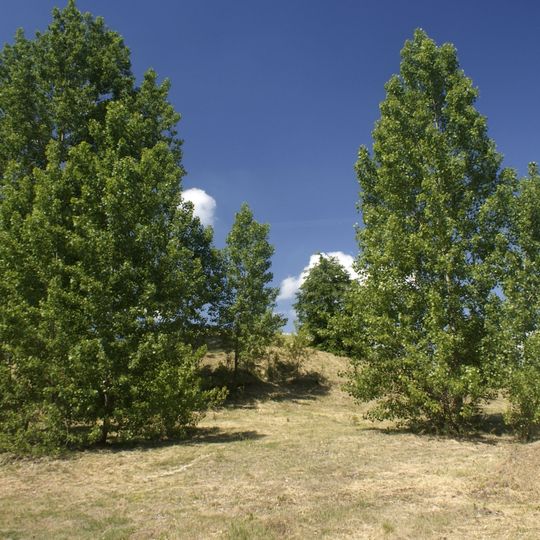 Cmentarz żydowski w Barcinie