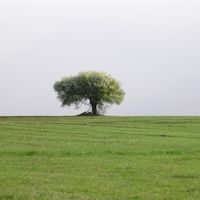 distretto di Zambrów