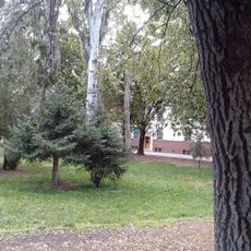 Maďarská škola G. Czuczora, park