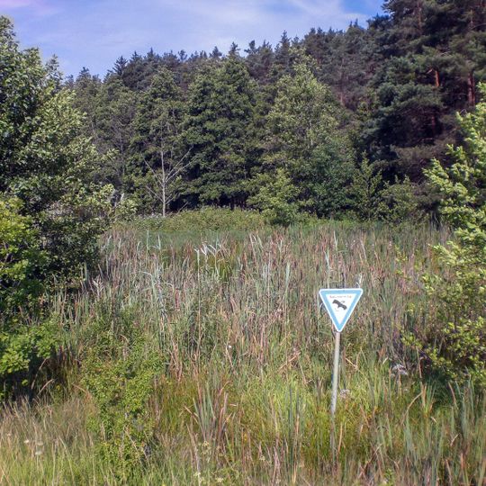 Naturdenkmal "Am Weiherholz"