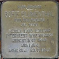 Sofie Blumenthal geb. Dillenburg