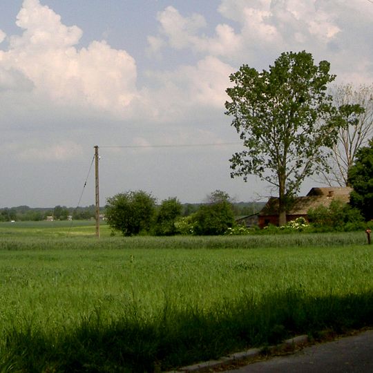Zosin
