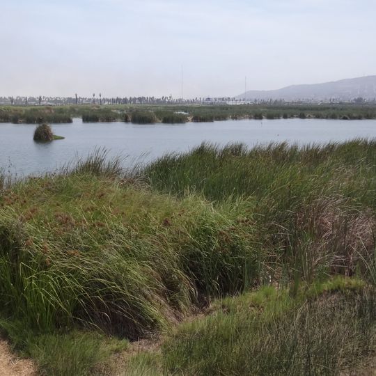 Refugio de vida silvestre Los Pantanos de Villa