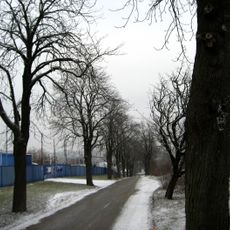 Památné stromořadí Líšeňská