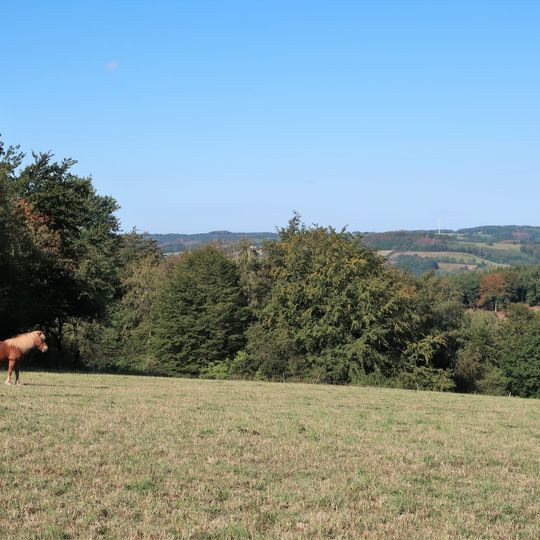 Selkinghauser Bachtal