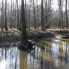Nature reserve Puszcza Słupecka