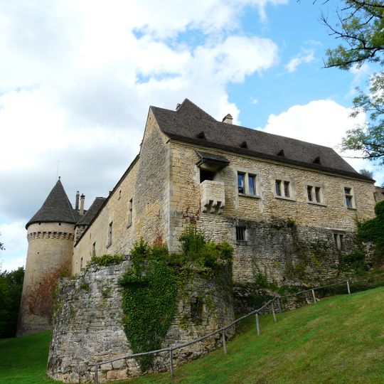 Château de Coulonges