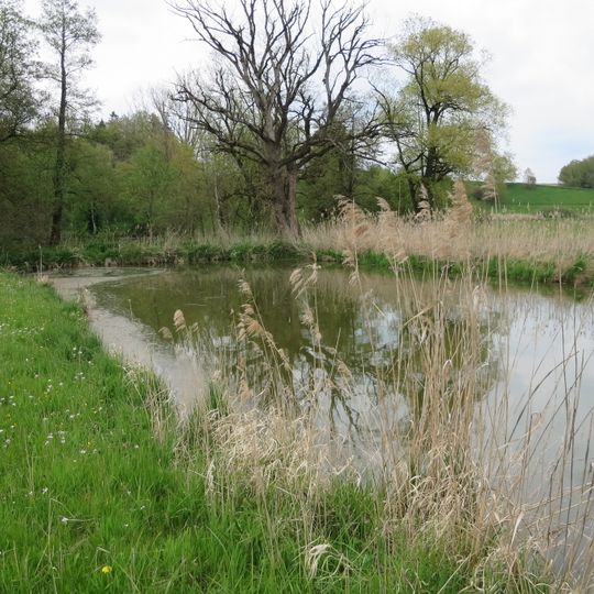 Amperauen mit Altwasser bei Palzing
