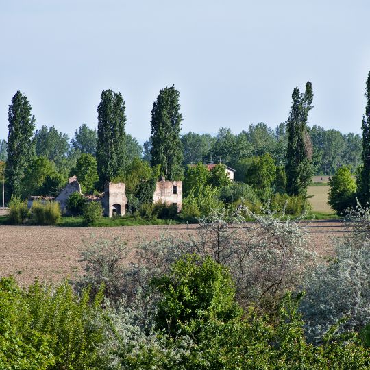 Bosco di Sant'Agostino o Panfilia