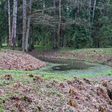 Le petit Étang du Nouveau Châlet