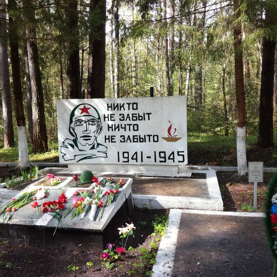 Обелиск над братской могилой воинов, погибших в годы Великой Отечественной войны 1941-1945г.г.