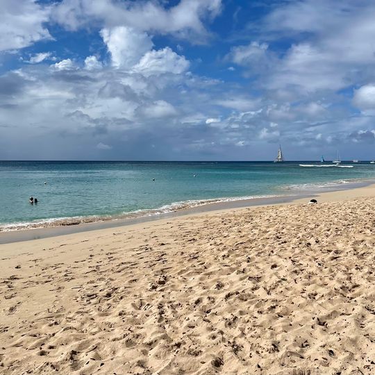 Folkestone Marine Park and Museum