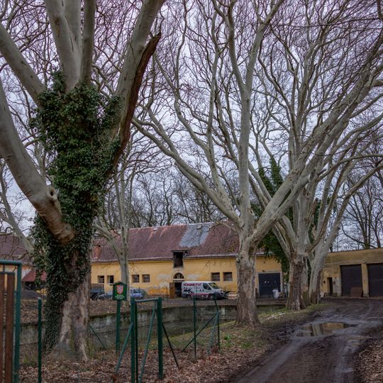 Platany ve Stránově