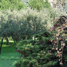 Klooster St. Alfonsius Zusters: Tuin en toebehoren