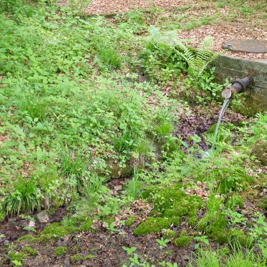 NSG Quellgebiet Bockskopf