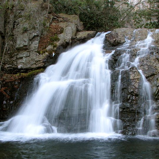 Penn Forest Township
