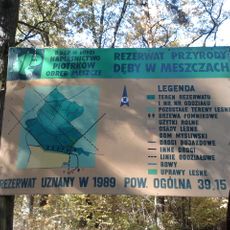 Nature reserve Dęby w Meszczach