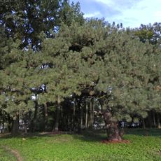 Castle Park in Gorzanów