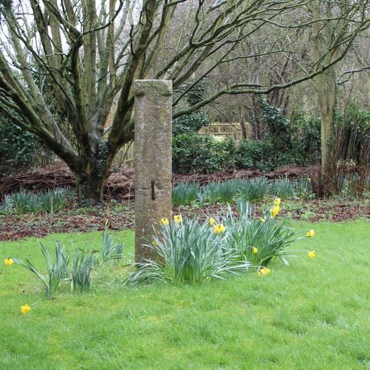 Churchyard cross, St Swithun's churchyard