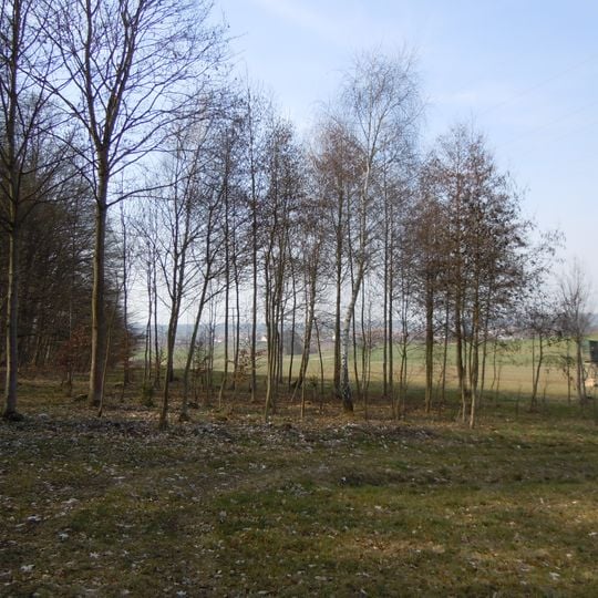 Feuchtbiotop Hintere Schwende