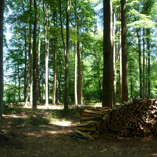 Waldgebiete um Sondermühlen