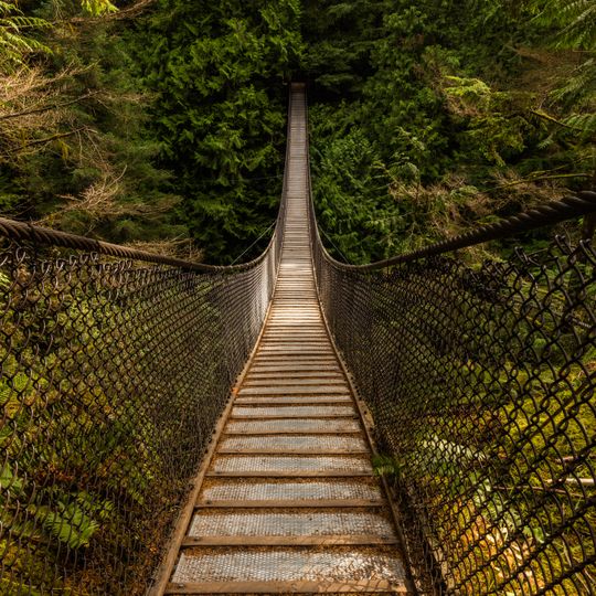 Lynn Canyon Suspension Bridge