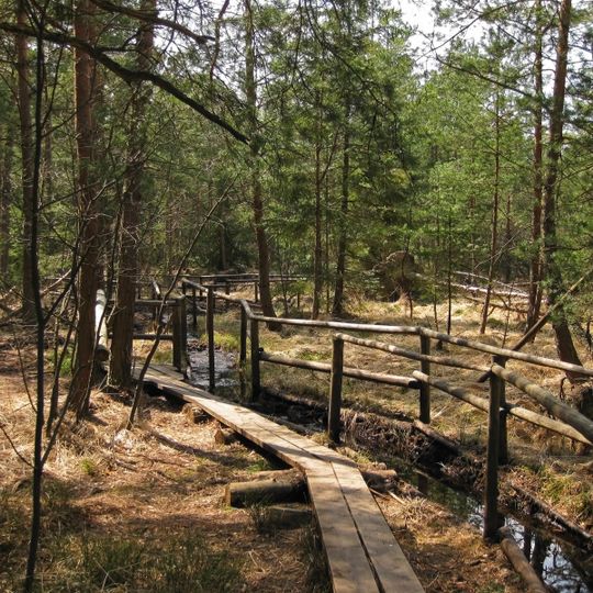 Heidenreichsteiner Moor