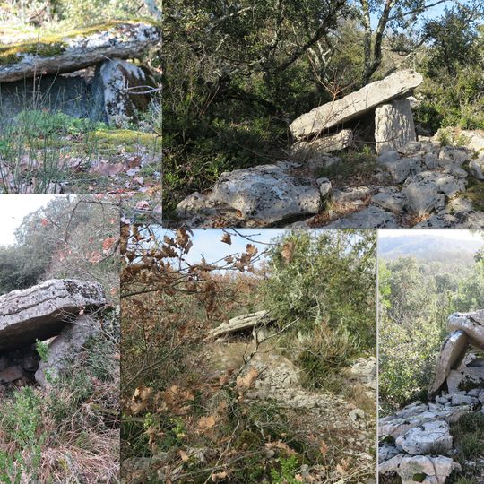 Dolmen du Bois des Roches