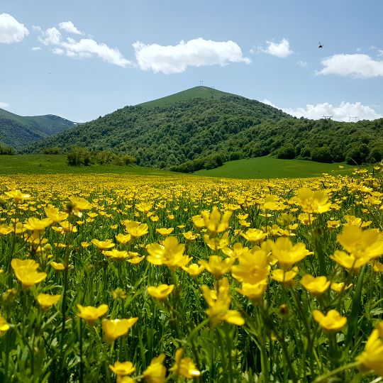 Parque nacional Dilijan