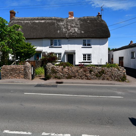Laburnum  Laburnum Cottage