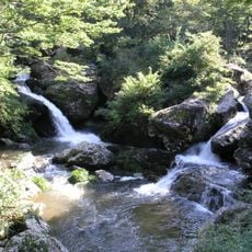 Rurikei
